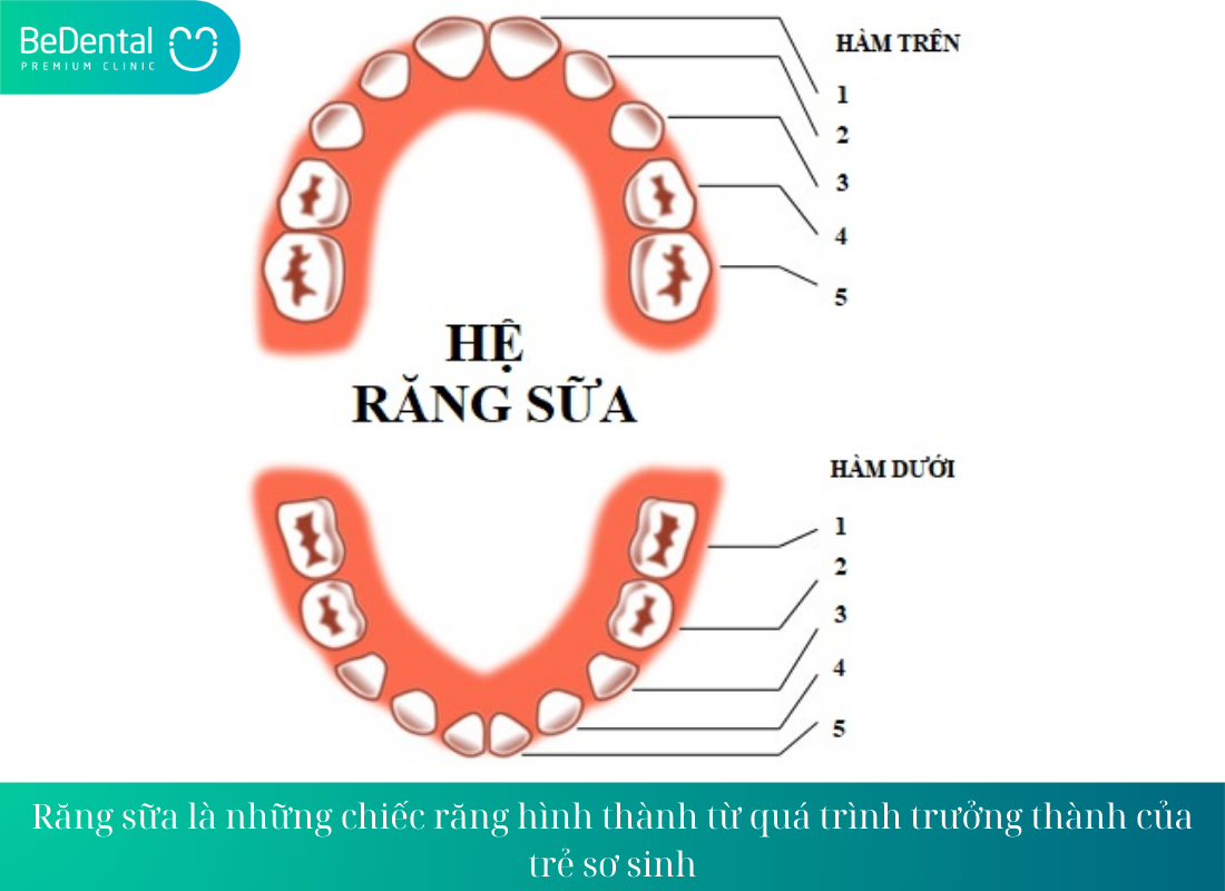 Bai viet nay se gioi thieu ve 10 benh rang mieng pho bien nhat cung cap thong tin ve nguyen nhan gay ra cac benh nay va huong dieu tri tuong ung. Rang va mieng la mot phan quan trong cua suc khoe 1