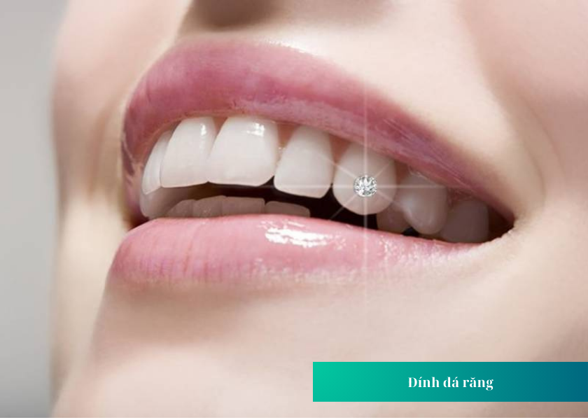 Chức năng chính của răng cửa 