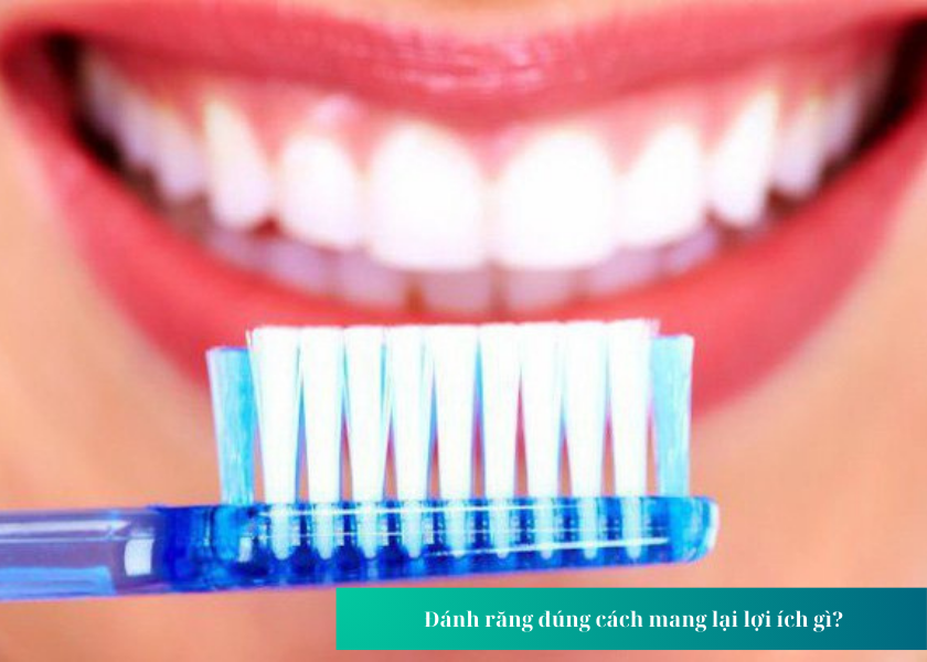  Đánh răng đúng cách mang lại lợi ích gì?