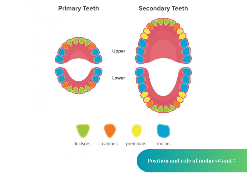 How much does teeth whitening cost 1 min 9