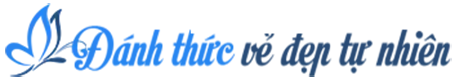 Logodanhthucmoi