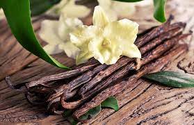 Chiết xuất vanilla giúp điều trị đau nhức răng 