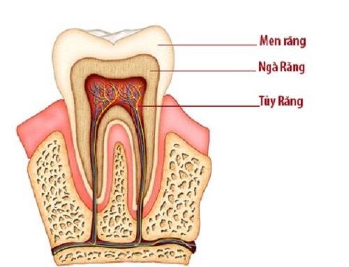Điều trị tủy hay chữa tủy răng là như thế nào