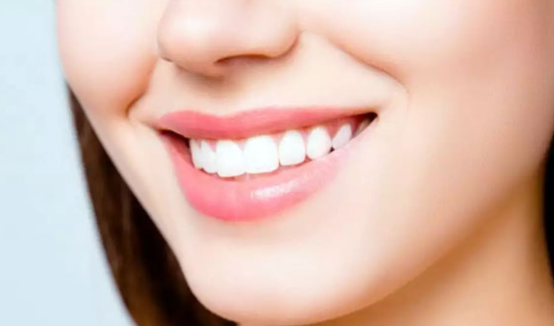 Chức năng chính của răng nanh 